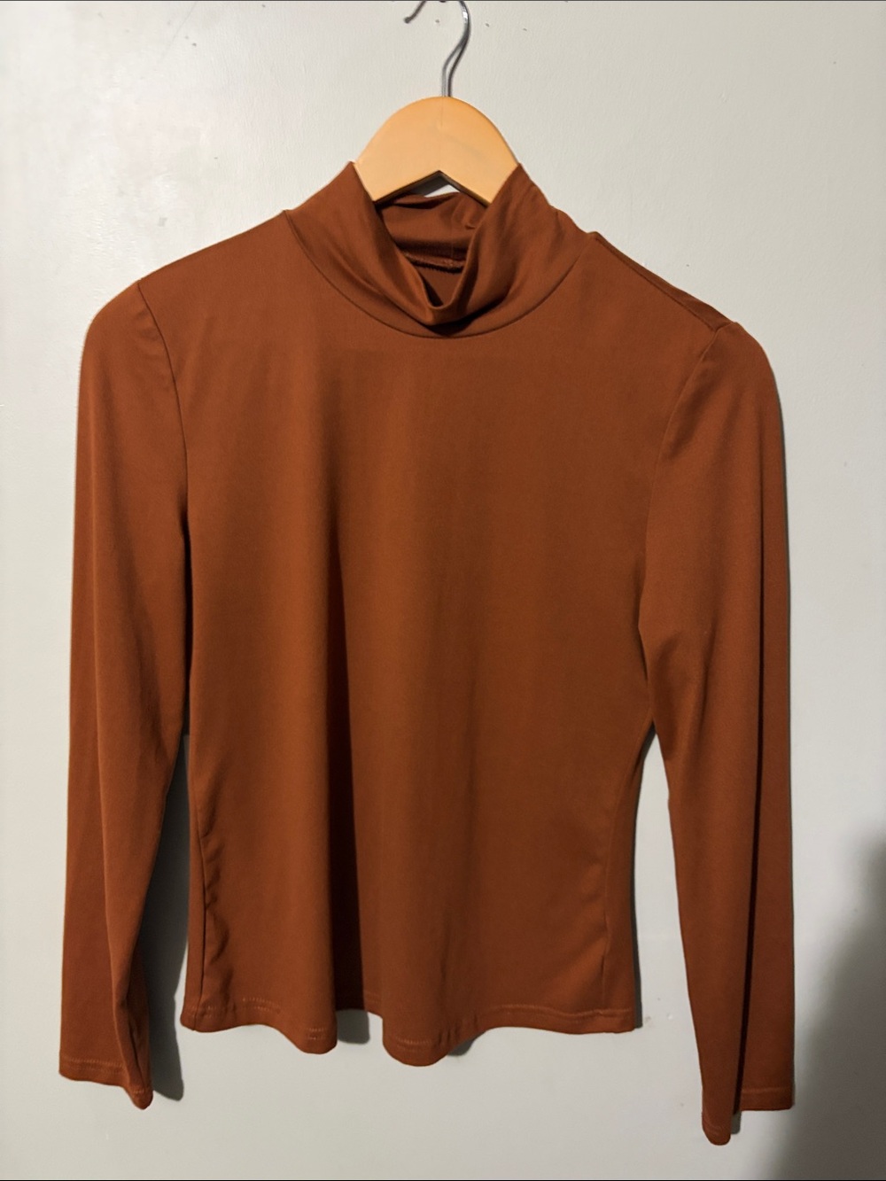 SHEIN Rust Brown Long Sleeve Turtleneck Top